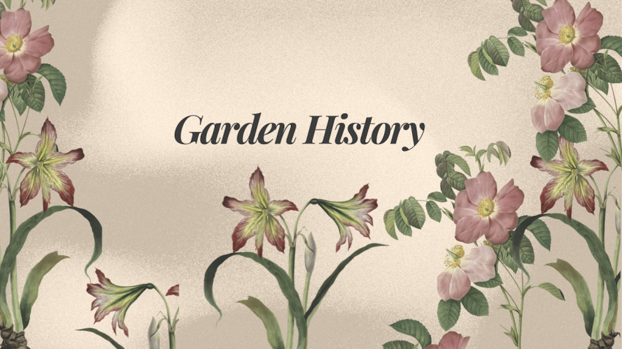 Vintage Retro Botanical Flower Garden Poster Twitter Post
