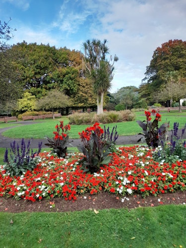 Blenheim Gardens seasonal beds and focal plant