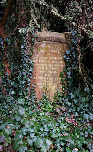 Gravestone Ian Jacob Rochusse Old Barnes Cemetery