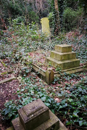Three graves covered with ivy and leaves Old Barnes Cemetery