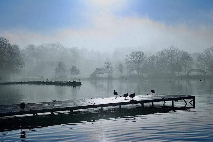 Wimbledon-Park-view-of-a-jetty-and-lake
