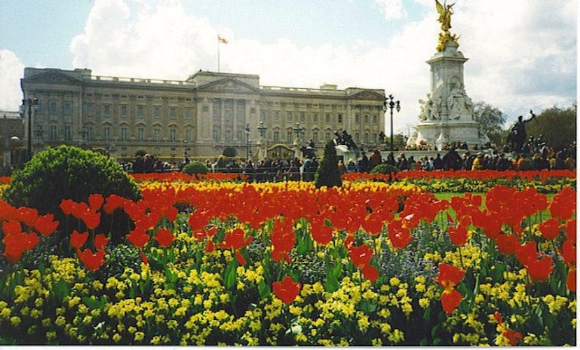 Pgds 20140723 145158 Buckingham Palace And Victoria Memorial   Geograph Org Uk   251093