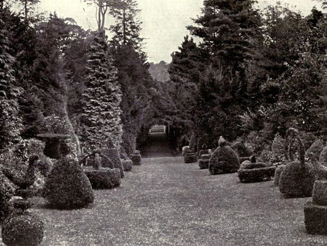 Pgds 20140911 144614 Topiary Garden Lowther Castle 1911