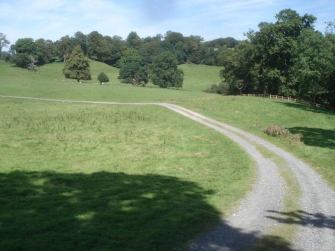 Pgds 20140917 205936 Track In Dinefwr Park   Geograph Org Uk   539306