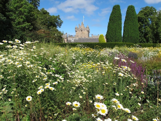 Pgds 20141010 143506 Cawdor Castle Garden Daisies
