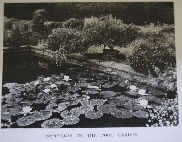 Pgds 20150722 075340 Nymphaeas In The Pool Garden Country Life