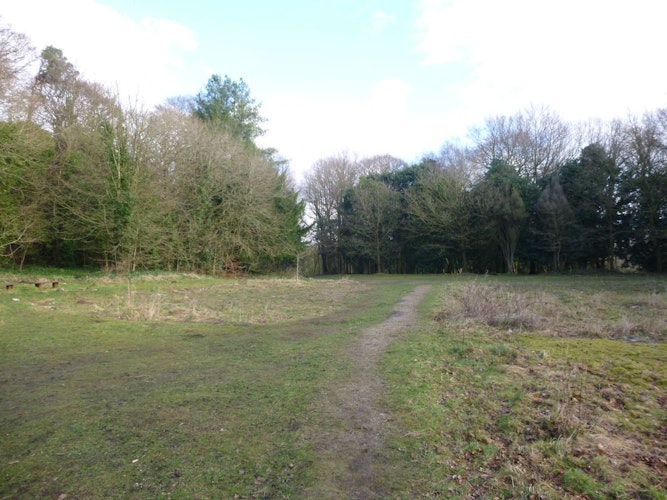 Pgds 20160213 125251 Site Of Witton House On High Ground Overlooking Estate